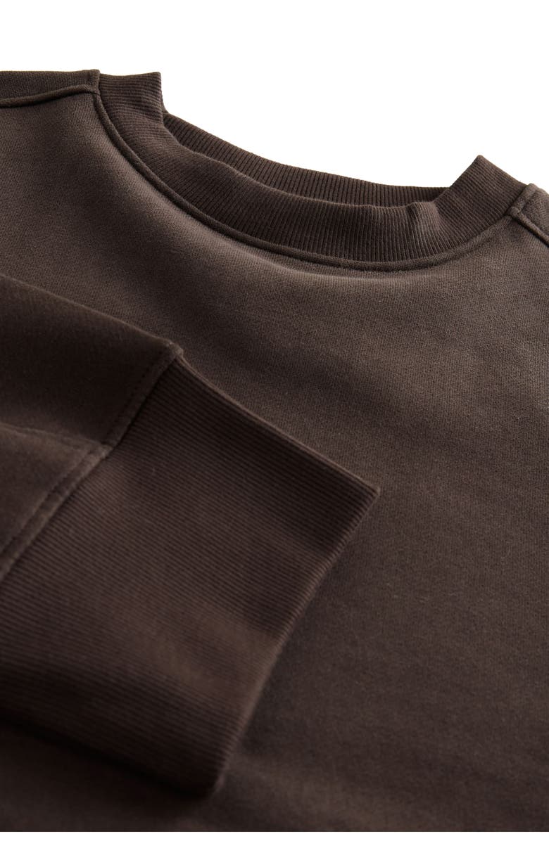 NEXT Crewneck Sweatshirt, Alternate, color, Brown
