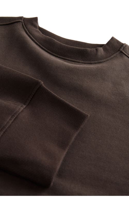 Next Crewneck Sweatshirt In Brown