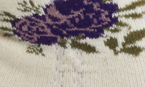 Stems Cozy Chic Floral Pointelle Quarter Socks In White