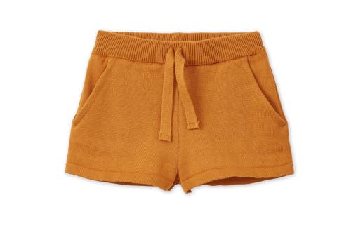 VILD HOUSE OF LITTLE VILD HOUSE OF LITTLE ORGANIC KNIT SHORTS