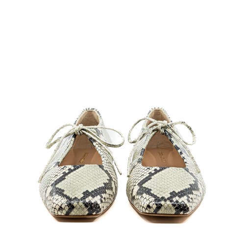 Andrea Gomez Amelia Leather Ballerina In Multi