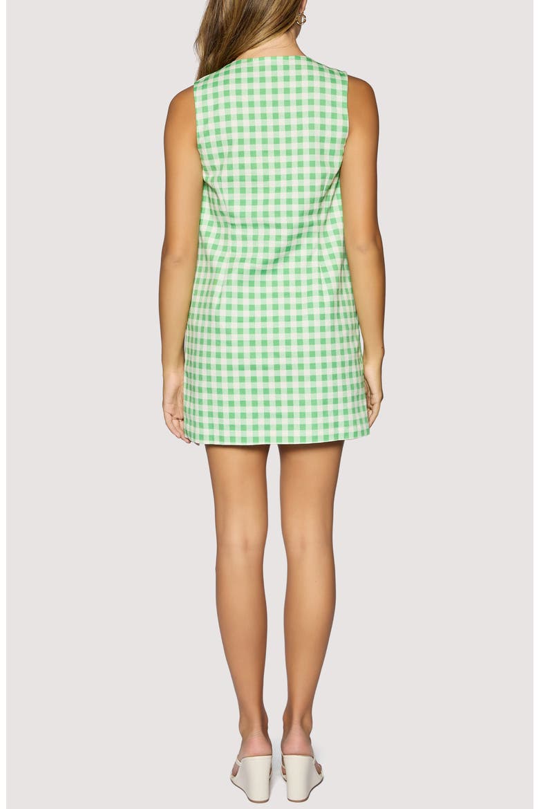 Willow Breeze Gingham Minidress, Alternate, color, GREEN
