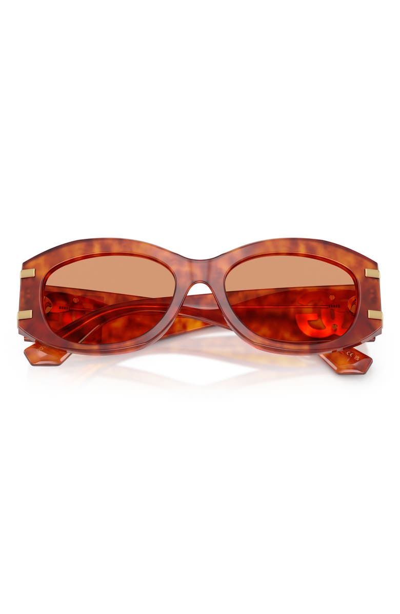 Dolce&Gabbana 55mm Oval Sunglasses, Alternate, color, Camel Havana / Orange
