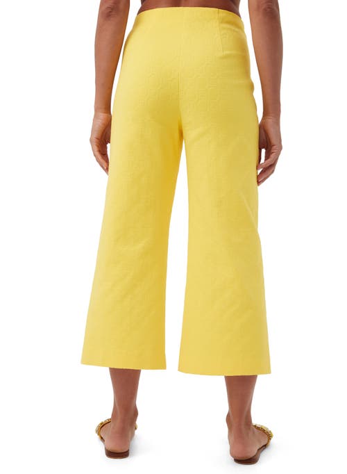 Trina Turk Saltie 2 Cropped Wide Leg Pant In Lavandou Lemon