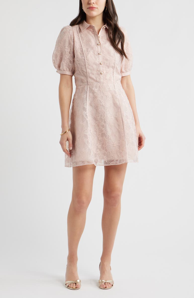 Chelsea28 Floral Embroidered Puff Sleeve Minidress, Main, color, Pink Sepia