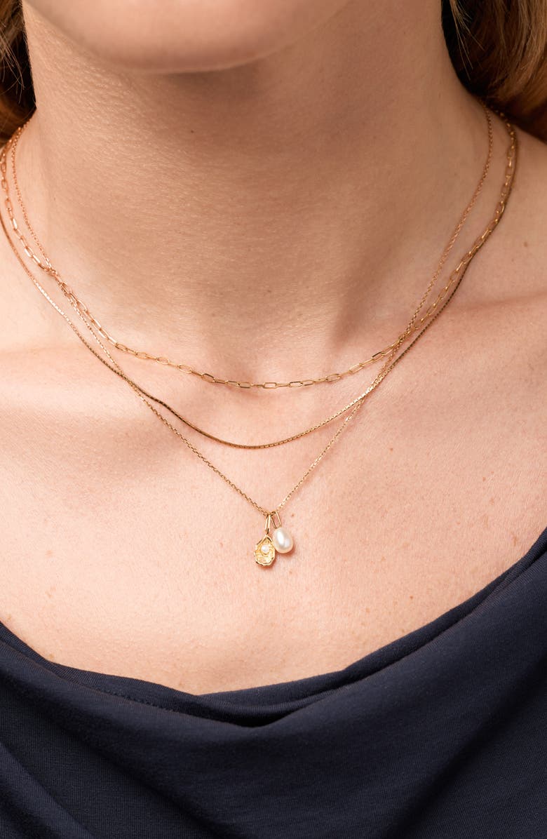 Ana Luisa Solid Yellow Gold - Oyster Charm Necklace, Alternate, color,