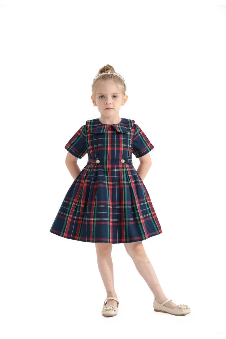 Plaid Button-Waist Dress, Alternate, color, Red