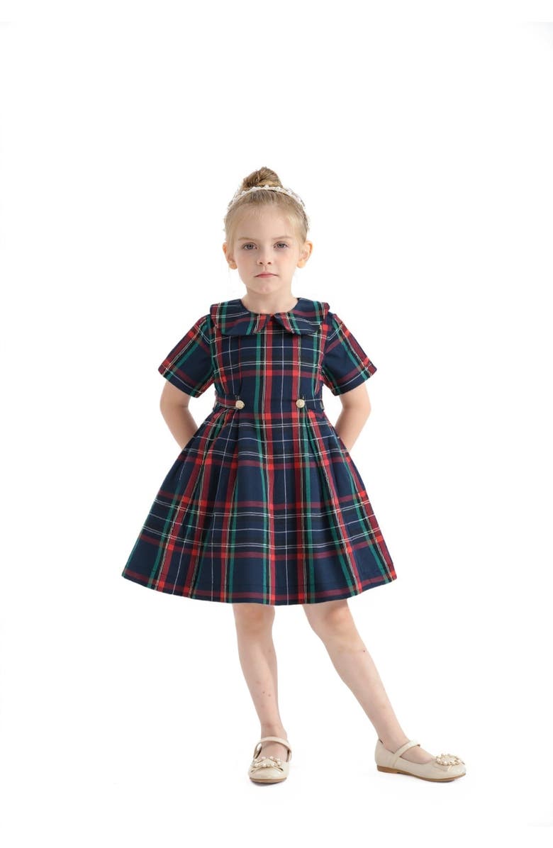 Tulleen Plaid Button-Waist Dress, Alternate, color, Red