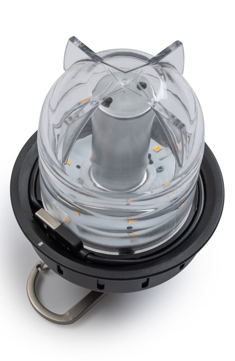 BAREBONES LIVING Beacon Hanging Light, Alternate, color,