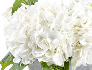 Ryann RealTouch Hydrangea Arrangement