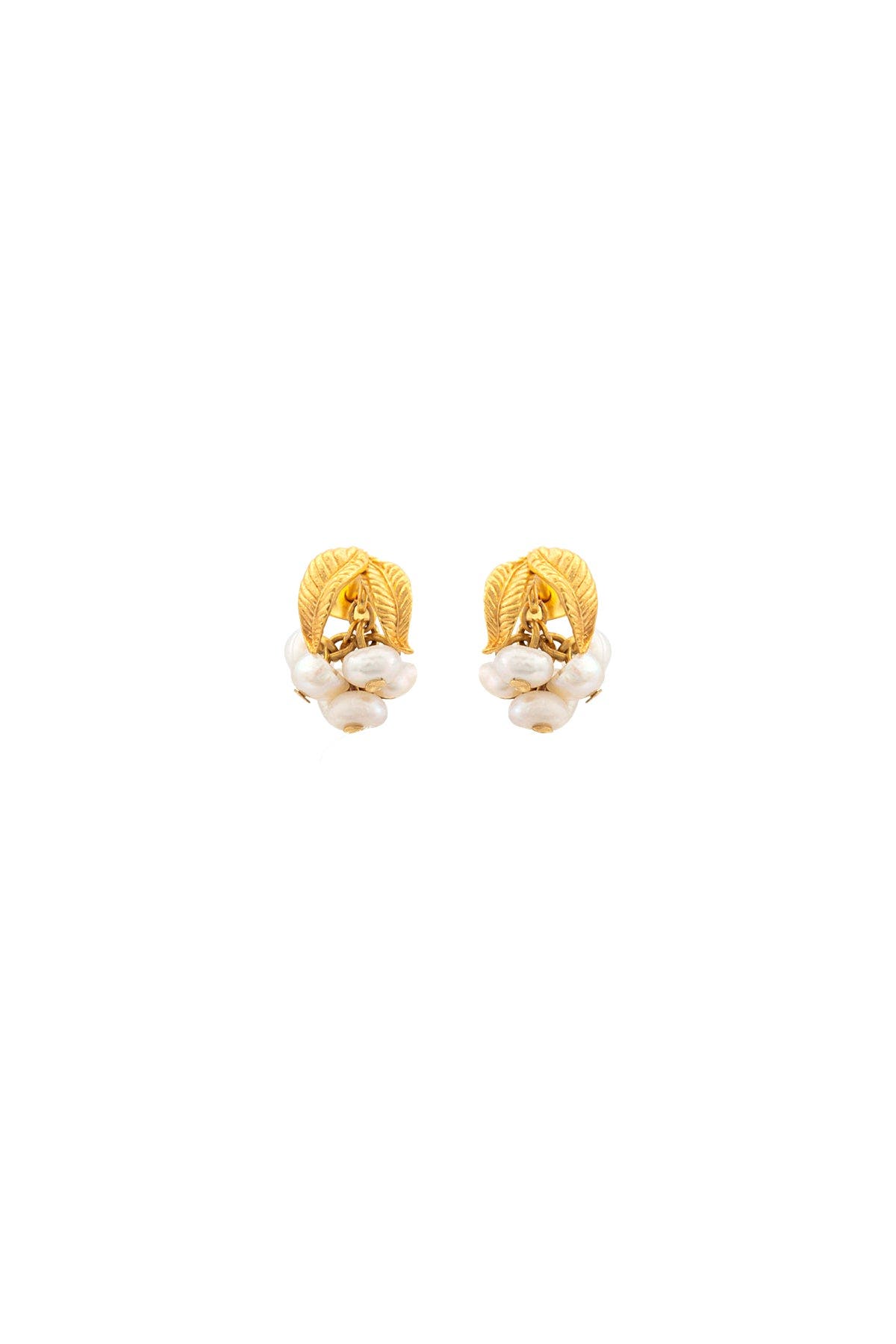 selected Ivory