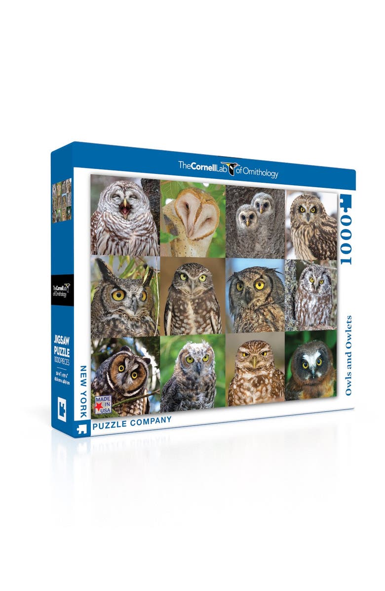 NEW YORK PUZZLE COMPANY Owls and Owlets 1000 Piece Puzzle, Alternate, color, NO COLOR