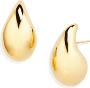 Bottega Veneta Small Drop Earrings