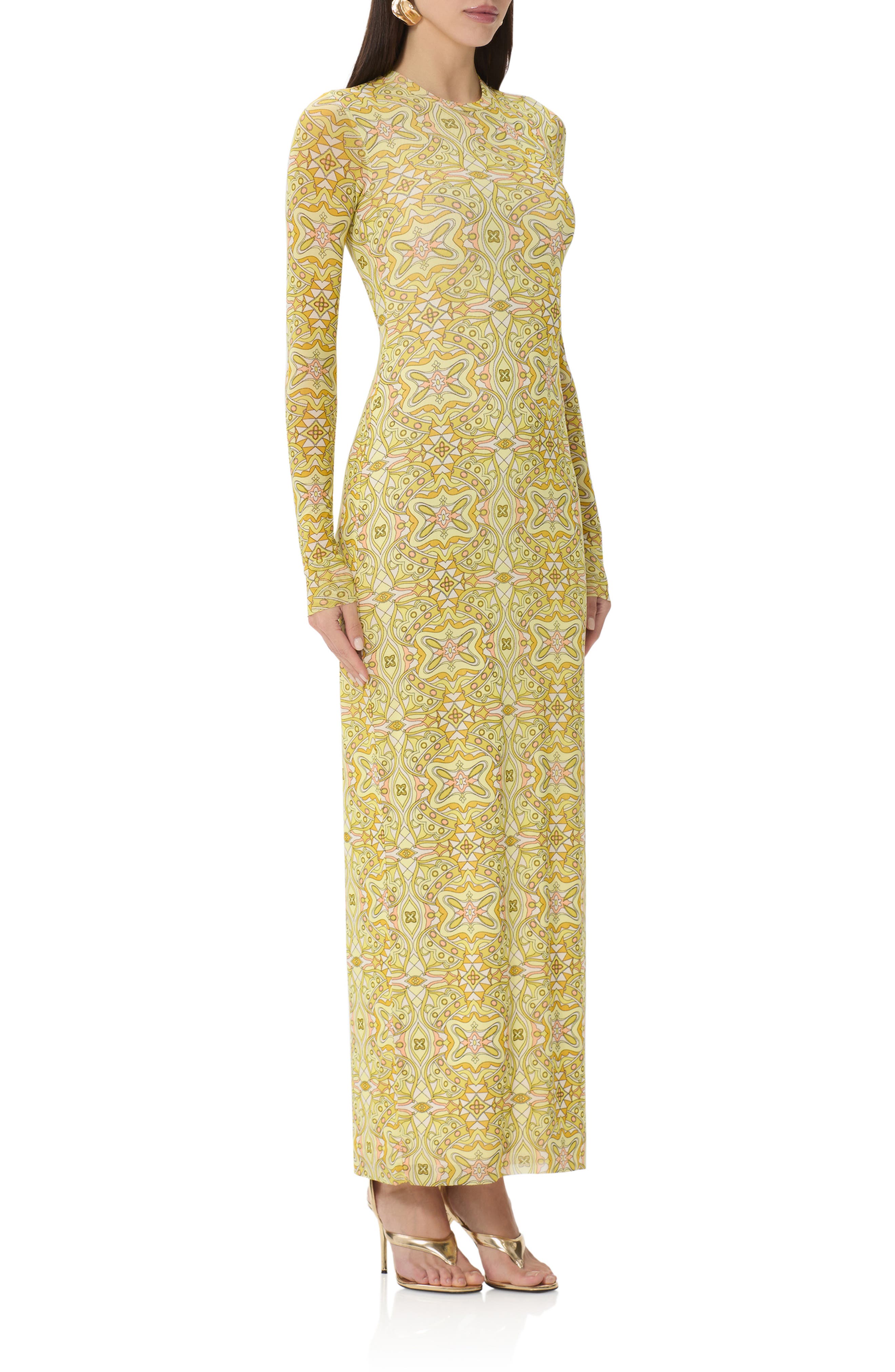 afrm didi floral maxi dress AFRM Didi Floral Print Crew Neckline Long Sleeve Mesh Maxi Dress