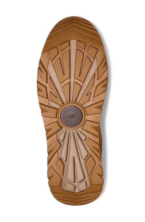 Ugg ® Captrail Low Waterproof Sneaker In Chestnut