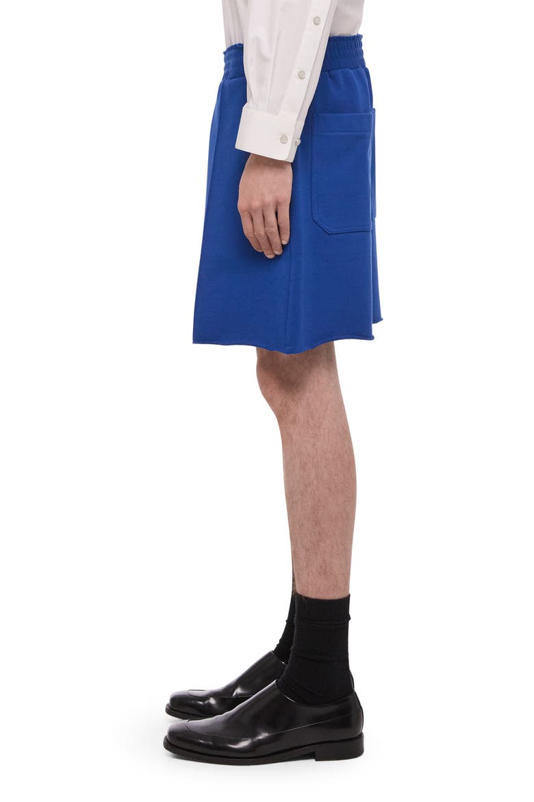 Cotton French Terry Shorts, Alternate, color, ROYAL BLUE