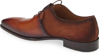 Colomer Oxford