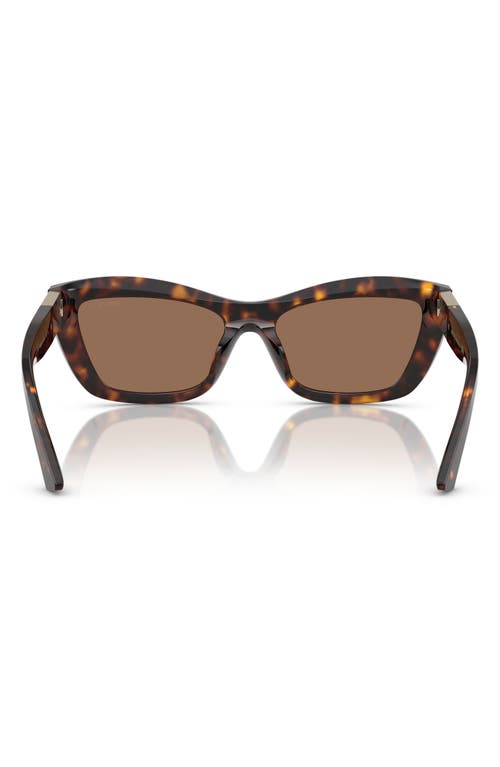 Jimmy Choo 54mm Cat Eye Sunglasses In Havana
