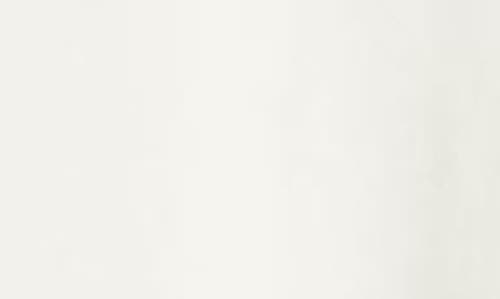 Nordstrom Relaxed Fit Pima Cotton Crewneck T-shirt In Ivory Tofu