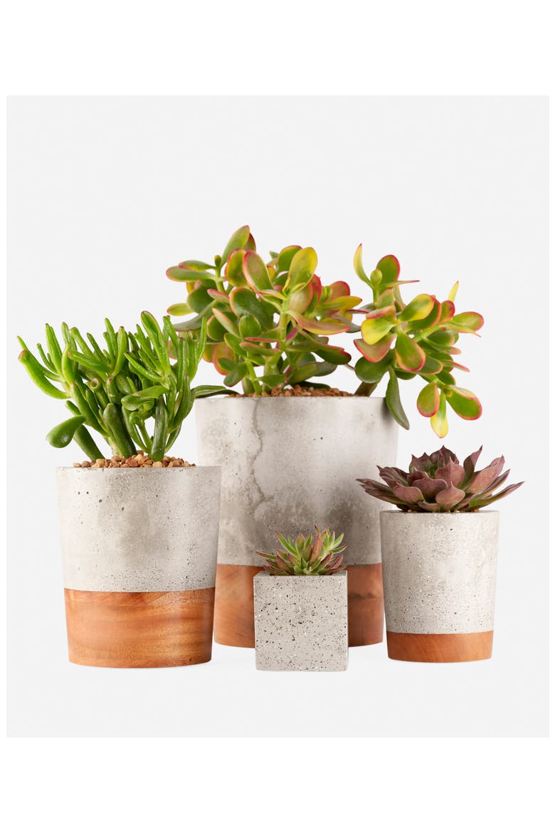 Concrete & Wood Planter, Alternate, color, GREY CONCRETE AND WOOD-LARGE