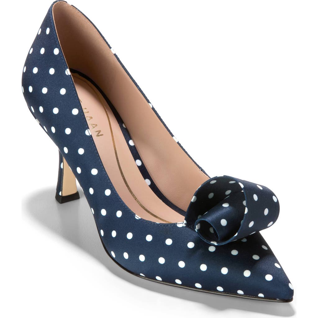 Cole Haan Florette Pointed Toe Pump In Blue