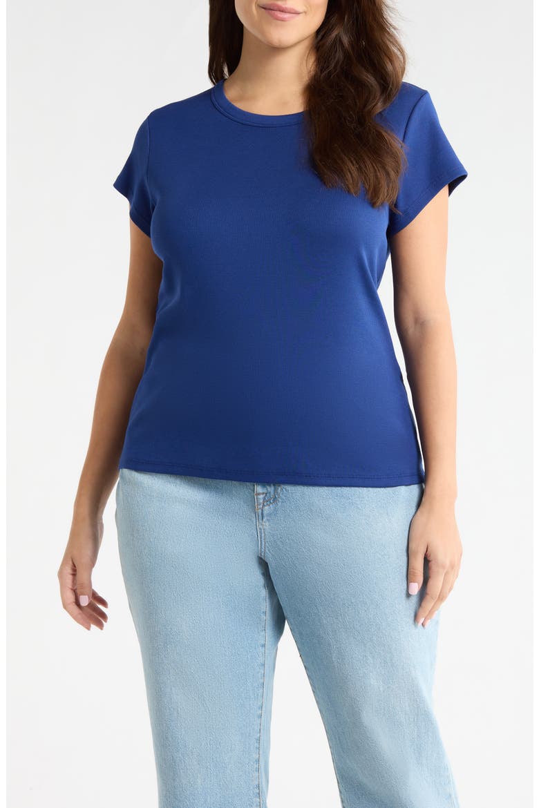 Rib Crewneck Organic Cotton T-Shirt, Main, color, DEEP DIVE