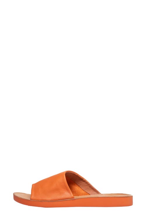 Antelope Ami Leather Slide Sandal In Orange