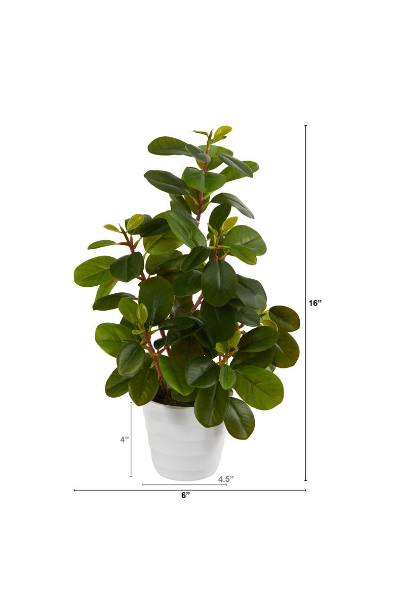 NEARLY NATURAL 16-in Peperomia Artificial Plant in Decorative Planter, Alternate, color, Green