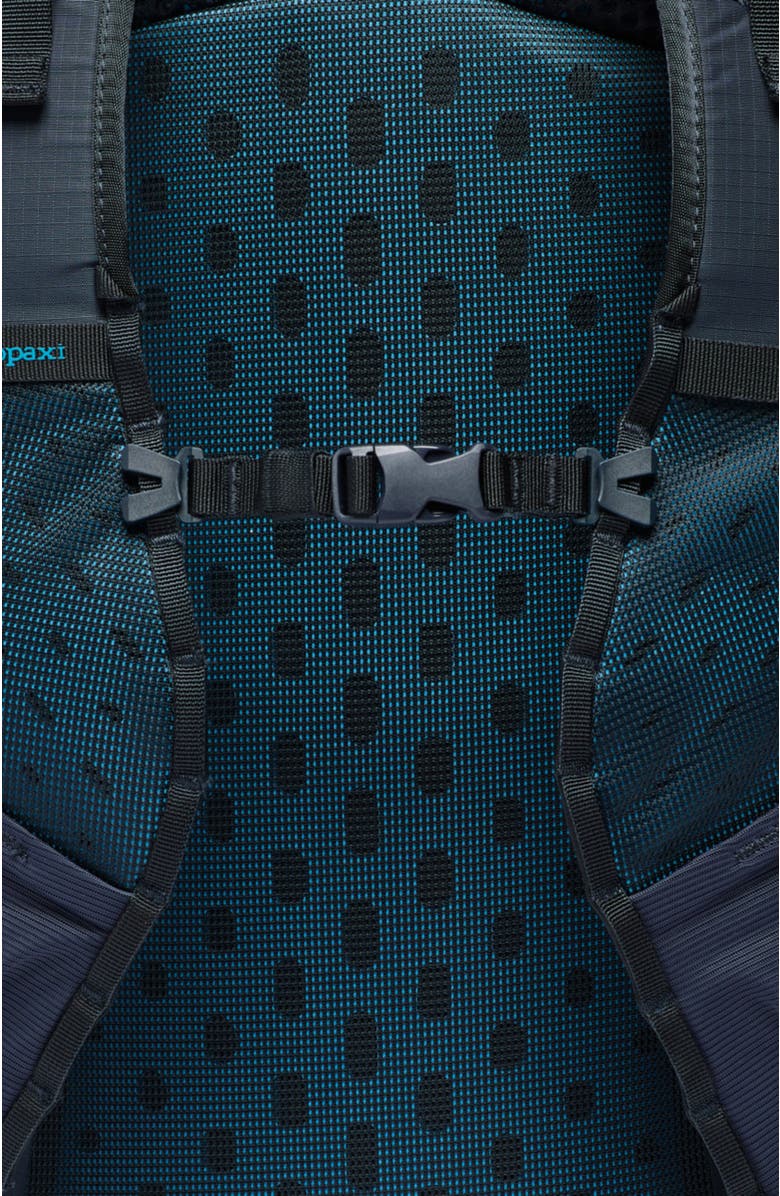 Cotopaxi Elqui 24L Backpack, Alternate, color, Foam/Silver Leaf