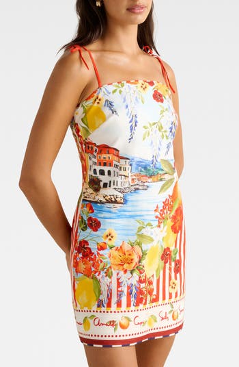 Sierra Printed Minidress