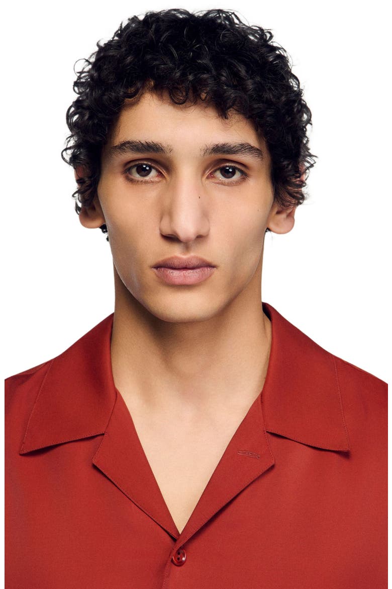 Loose-fit shark collar shirt, Alternate, color, Terracotta