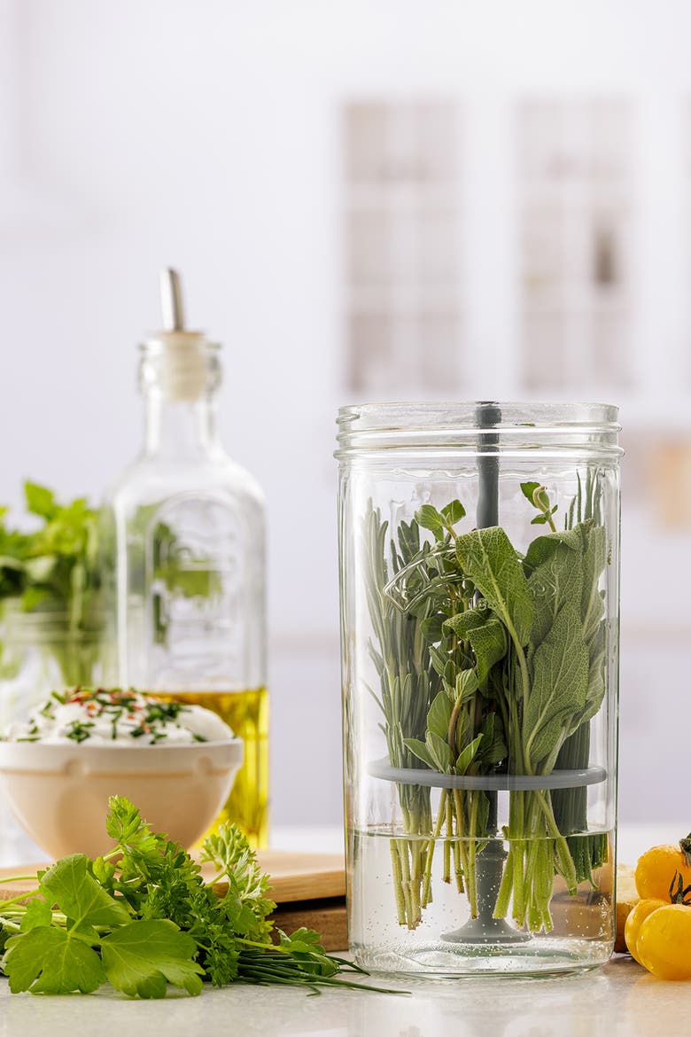 Fresh Herb Keeper, Glass Herb Storage Jar for Fridge, Alternate, color, Clear