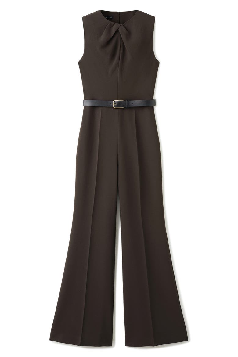 Draped Detail Belted Wide Leg Jumpsuit, Alternate, color, BROWN