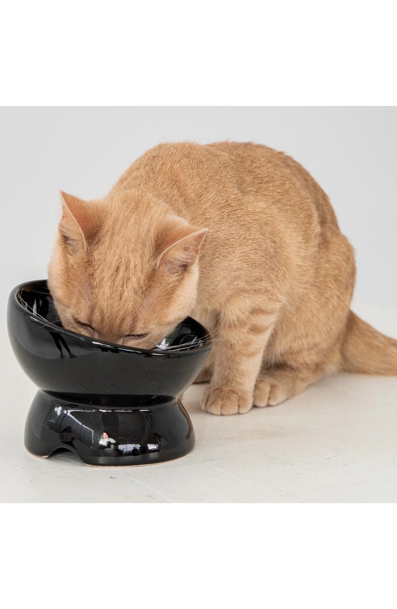 Dexypaws Elevated Ceramic Cat Bowl, Black, 7oz, Pet Feeding Dish, Alternate, color, Black
