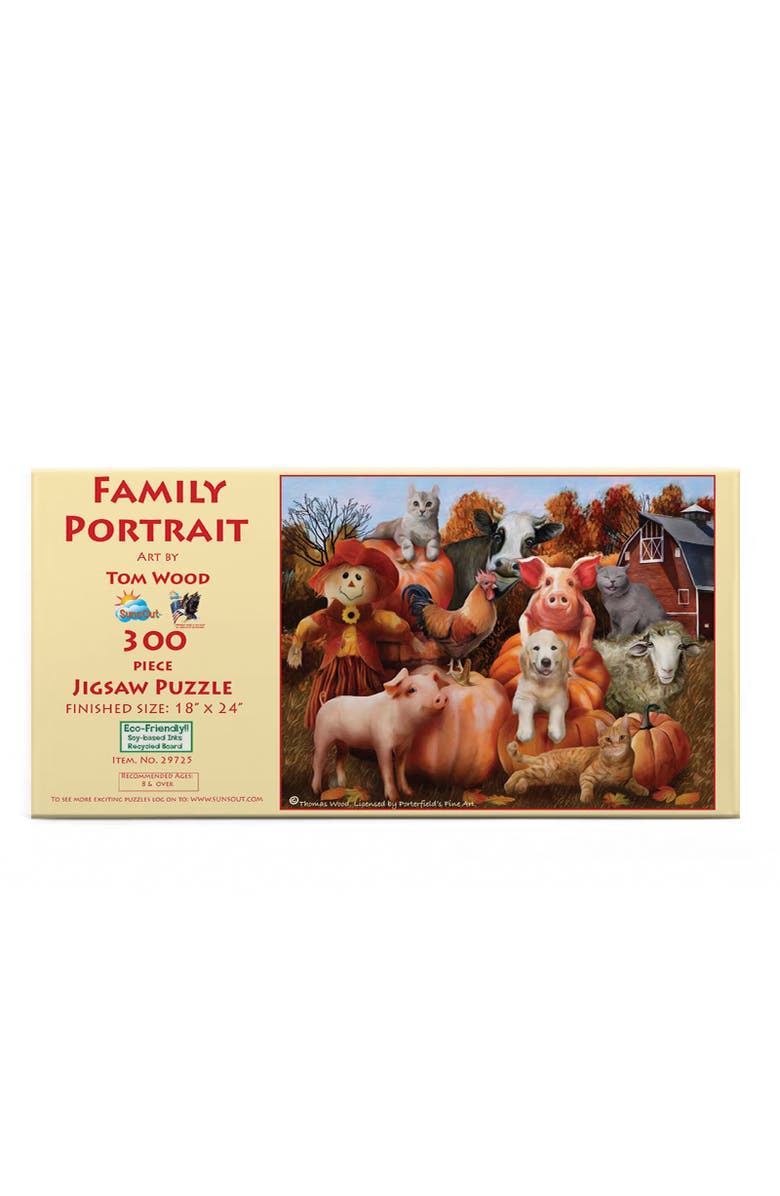 Sunsout Family Portrait 300 piece Jigsaw Puzzle for Adults, Alternate, color, Multicolor