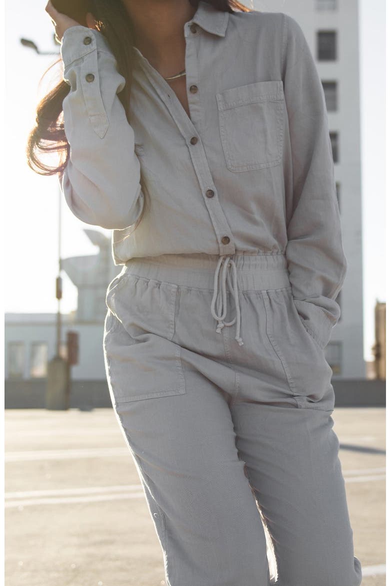 Arlie Day Long Sleeve Jumpsuit, Alternate, color, STONE