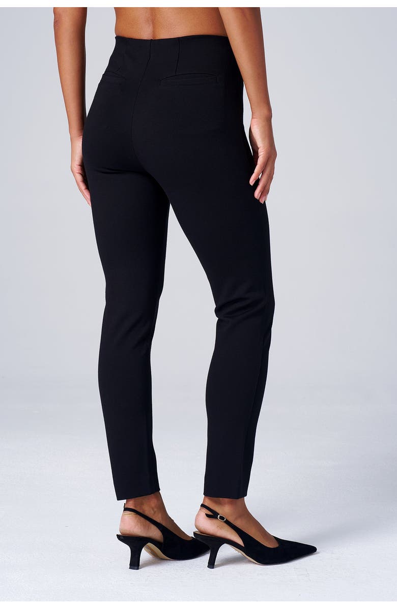 Franne Golde Slim Ankle Stretch Ponte Pant, Alternate, color, Black