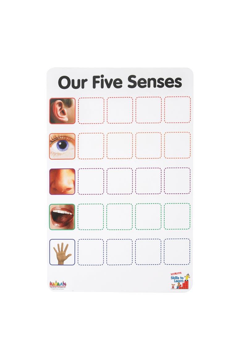 Our Five Senses Interactive Game, Alternate, color, Multicolor