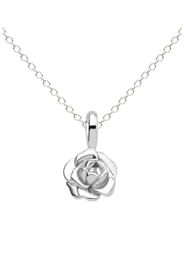 Birth Flower Charm Necklace, Main, color, Silver - September
