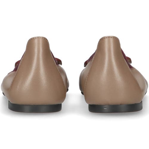 Pretty Ballerinas Pointed Toe Elasticated Ballet Flat In Brown