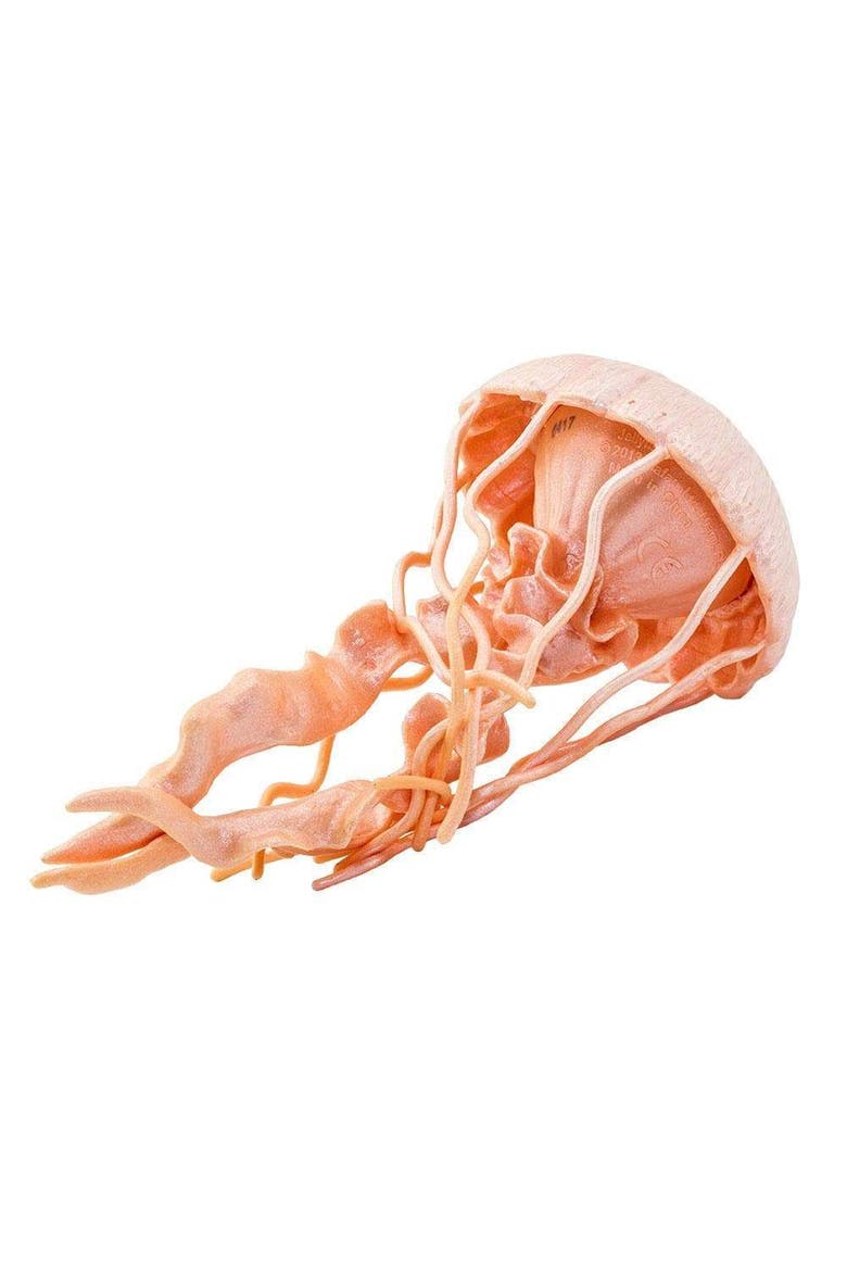 Jellyfish Toy, Alternate, color, No Color