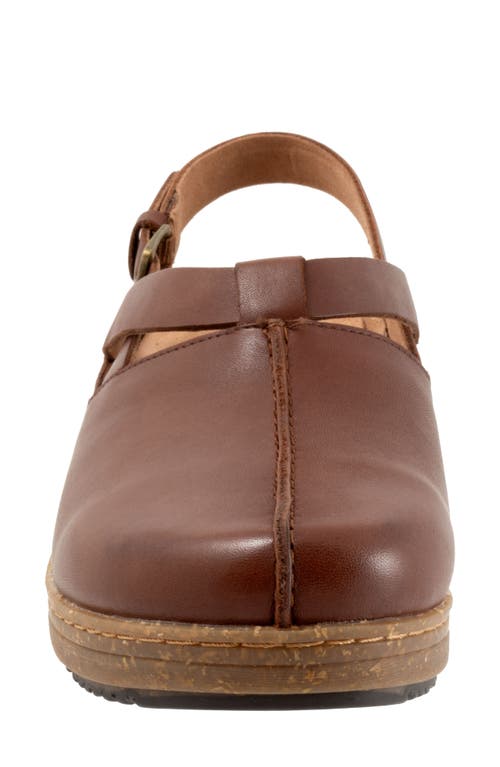 Softwalk ® Arica Slingback Clog In Brown