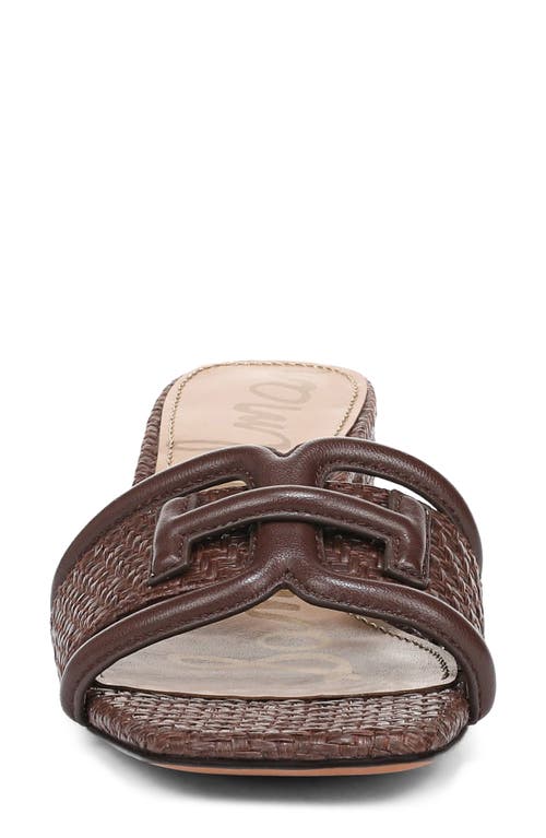 Sam Edelman Waylon Slide Sandal In Brown