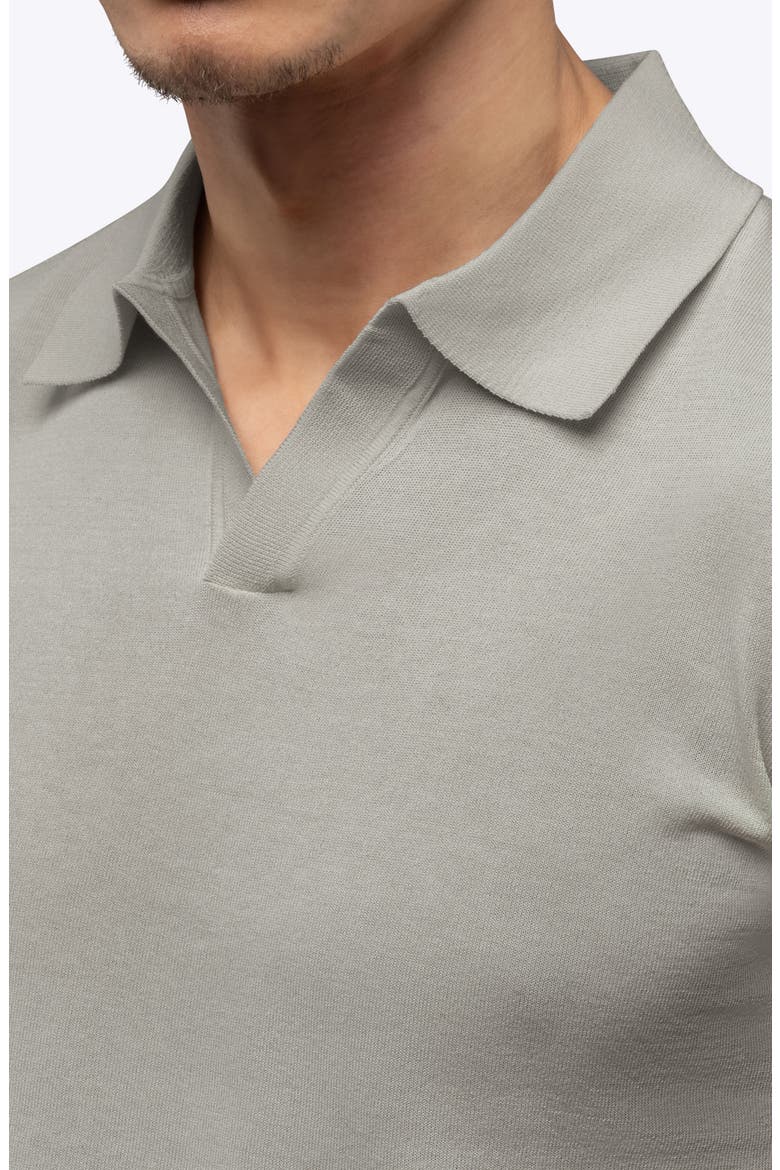 Istanbul Johnny Collar Cotton Bend Polo, Alternate, color, MOURNING DOVE