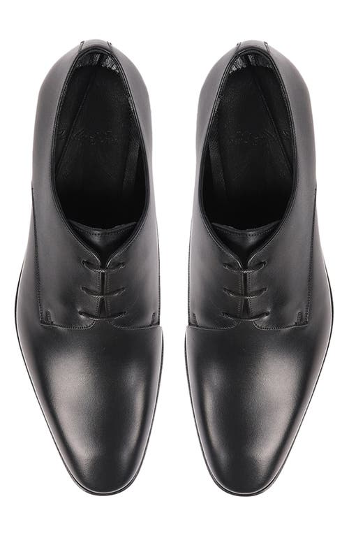 Vellapais Gorman Oxford In Black