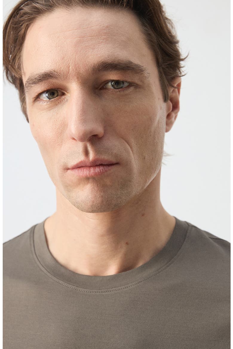 Regular Fit Cotton T-Shirt, Alternate, color, MEDIUM BROWN