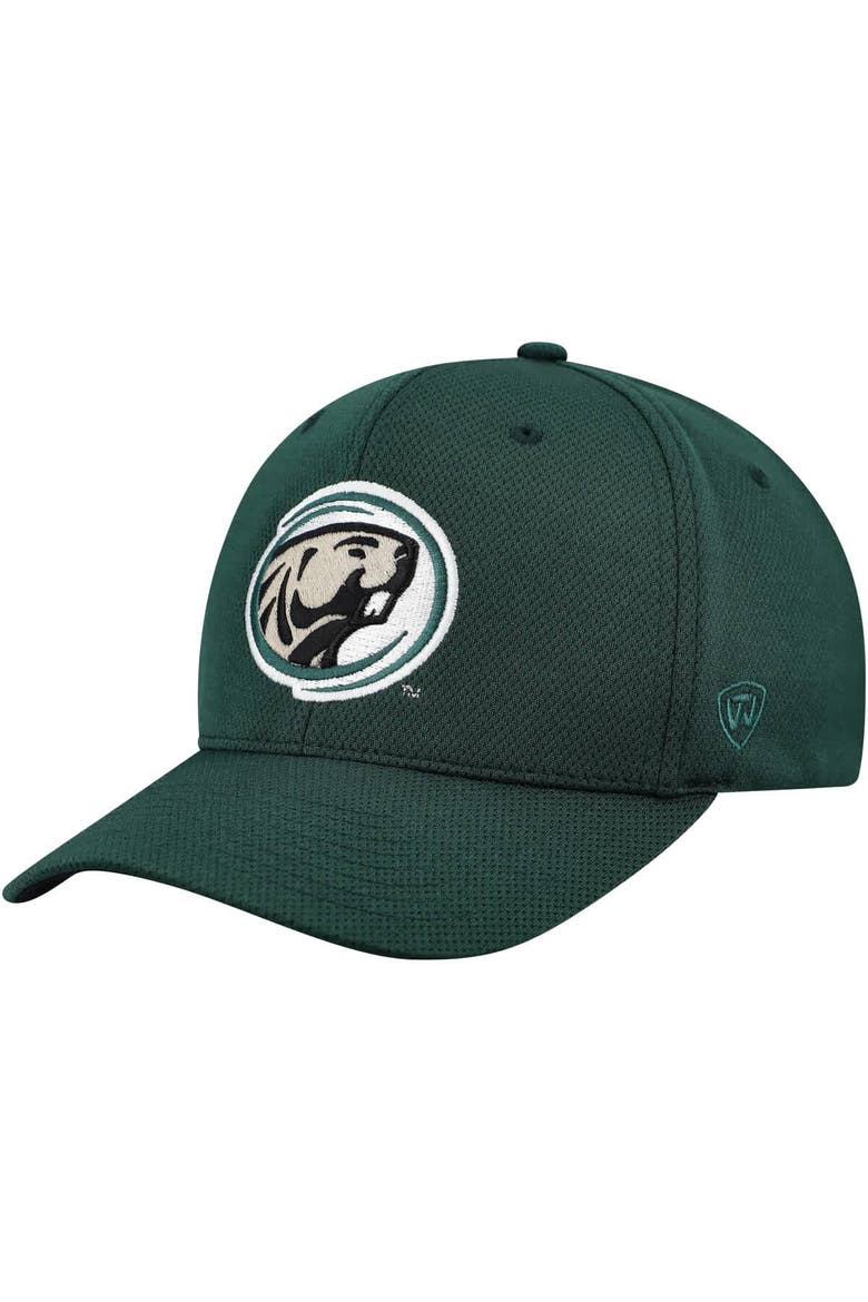 Men's Top of the World  Green Bemidji State Beavers Reflex Performance Flex Hat, Alternate, color, Green