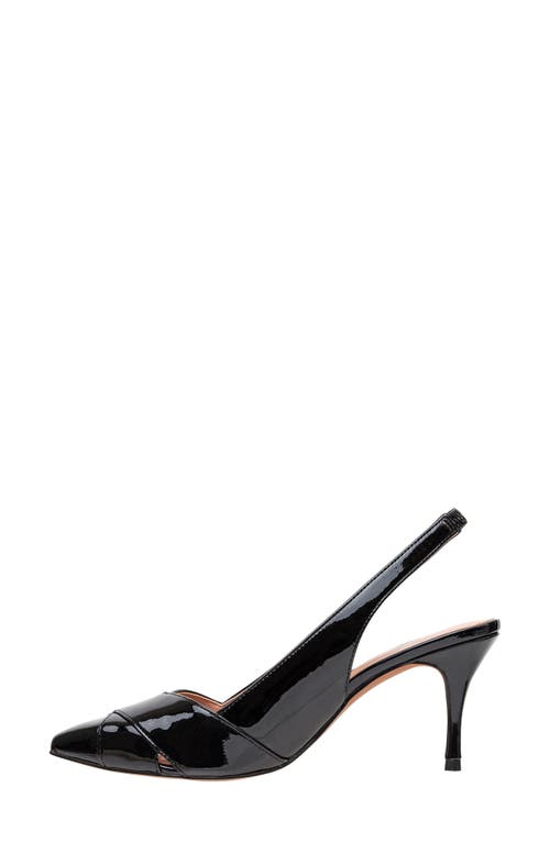 Linea Paolo Nelly Pointed Toe Slingback Pump In Black