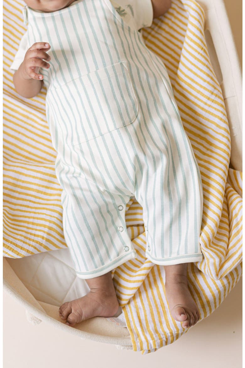 Stripe Organic Cotton Overall, Alternate, color, STRIPES AWAY SEA