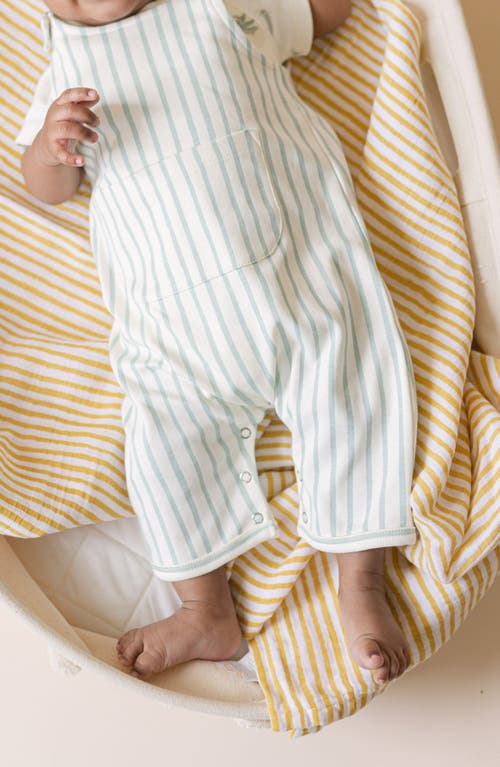 Pehr Stripe Organic Cotton Overall In Blue